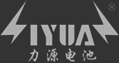 掌中彩